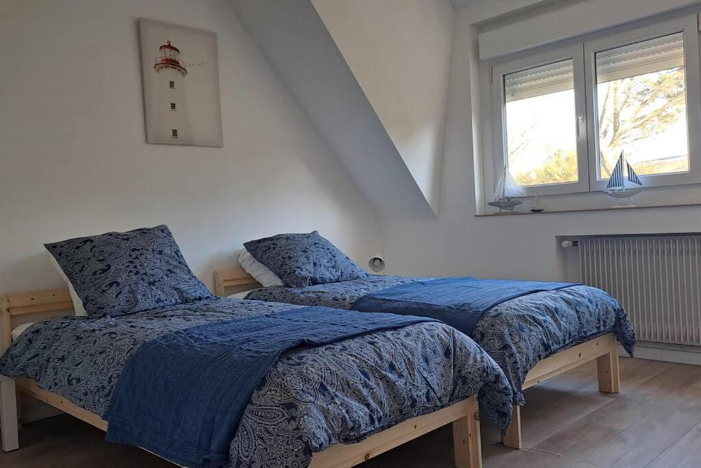Entre Nausicaa Et Wimereux